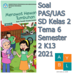 Soal PAS/UAS SD Kelas 2 Tema 6 Semester 2 K13 2021